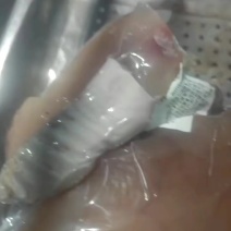 牛头肉清水退毛8成熟刀削毛纯干货，抽真空好看