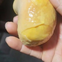 新鲜鸡宝