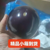 精品圆茄