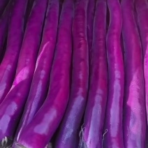 精品线茄，大量供应