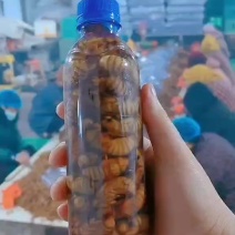 金蝉