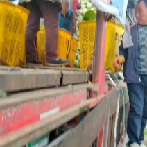 白菜