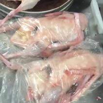 大鹅