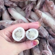 满籽籽乌，一箱5斤，辣炒，爆炒，涮火锅皆可