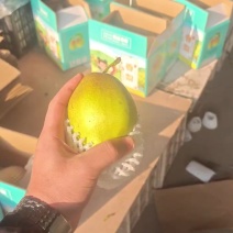 礼盒香梨大量供应，保质保量质量三包，产地直供一手货源，