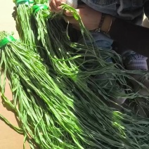 一级贡菜