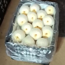 山西平遥贡梨，产地长年直供，皮薄、水分足、甜度高。