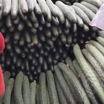 电商黄瓜