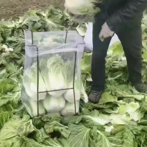 漂亮