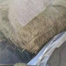 纯红薯粉条