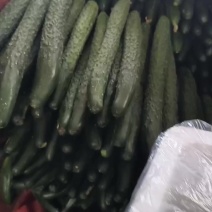 精品黄瓜染