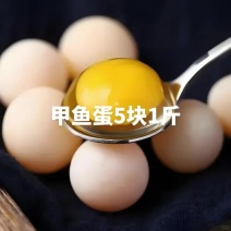 甲鱼蛋5块1斤#摆摊地摊创业甲鱼蛋5块