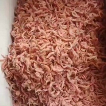 磷虾干磷虾一手货源资质齐全欢迎联系咨询合作