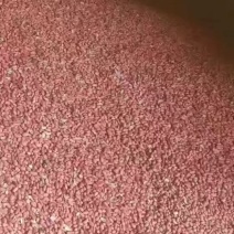河南周口花生米
