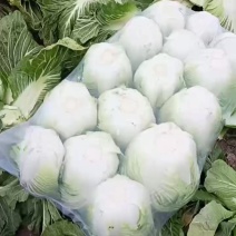 好货永远停不下来脚步