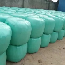 青贮玉米秸秆，青贮草料，量大优惠，全国发货欢迎来电洽谈