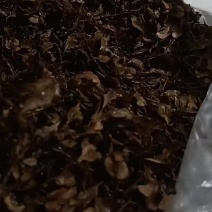 虎杖子籽，身干无杂，新货上市，出呀率百分之八十五