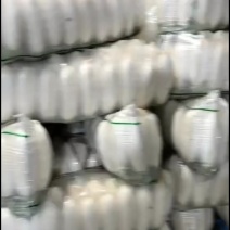 湖北白萝卜，