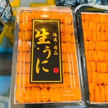 海胆