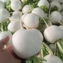 大量有货精品