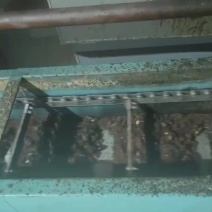 火炼猪油饲料级