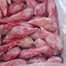带舌鹅头