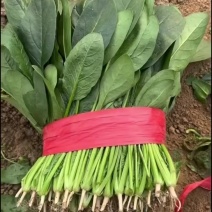 菠菜