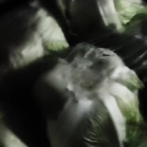 诚心代办品质保证