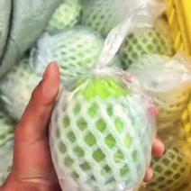 精品红心白心芭乐青线椒产地一手货源全国发货量大价优