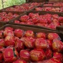 福建精品芦柑，产地直发，承接各大商超，电商，批发商，