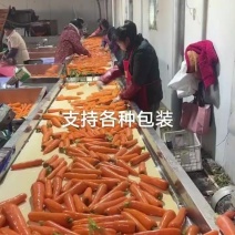 产地货源充足，水洗胡萝卜，价格实惠，欢迎沟通，全国发货
