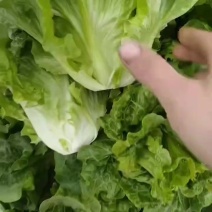 意大利
