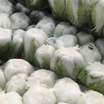 精品货源欢迎下单