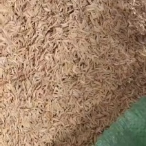 压缩稻壳，袋装稻壳有货，欢迎提货