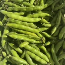新鲜蚕豆