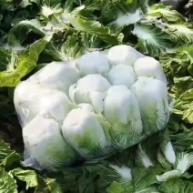 诚心出售，量大从优
