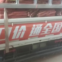陕西大荔沙底红萝卜