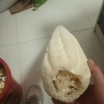 丝瓜络