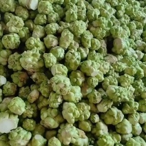 需要榨菜的老板联系