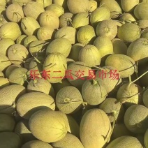 哈密瓜一路¥1.5