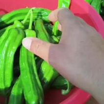 芜湖椒。大量有货。有市场需求的，可以联系我