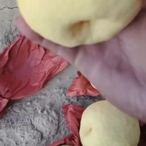 坐标山西祁县高山蜜梨继续大量走货，