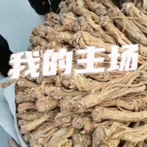 甘肃特产药材。独活原装个子
