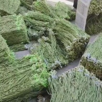 云南大理贡菜，全系列贡菜都是源头直供，价格合理，品质保障