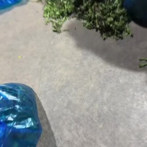 荠菜