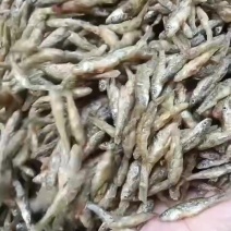 油炸中麦穗鱼