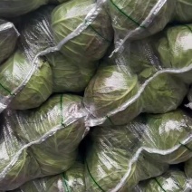 甘蓝精品电商货