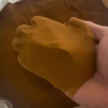 天然精选海金沙