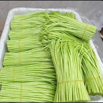 元旦精品芦蒿大量有货价格便宜