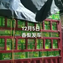 库尔勒香梨礼盒装
